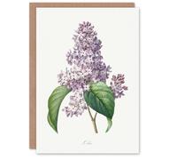 Artery8 Pierre-Joseph Redouté Art Card Lilac Vintage Floral Illustration in White Artery8 White