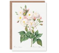 Artery8 Pierre-Joseph Redouté Art Card Noisette Rose Vintage Floral Illustration