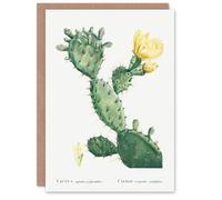 Artery8 Pierre-Joseph Redouté Art Card Opuntia Polyanthos Cactus