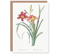 Artery8 Pierre-Joseph Redouté Art Card Orange Day Lily Vintage Floral Illustration
