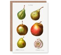 Artery8 Pierre-Joseph Redouté Art Card Pear Varieties Vintage Illustration