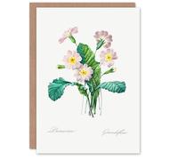 Artery8 Pierre-Joseph Redouté Art Card Primrose Vintage Floral Illustration