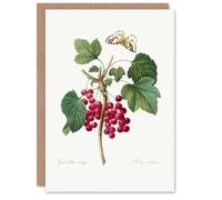 Artery8 Pierre-Joseph Redouté Art Card Redcurrant Berries and Butterfly