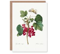Artery8 Pierre-Joseph Redouté Art Card Redcurrant Berries and Butterfly