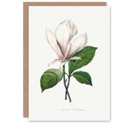 Artery8 Pierre-Joseph Redouté Art Card Saucer Magnolia Flower