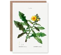 Artery8 Pierre-Joseph Redouté Art Card Sow Thistle Flower Bloom