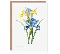 Artery8 Pierre-Joseph Redouté Art Card Spanish Iris Vintage Botanical Illustration