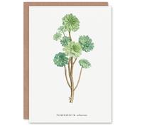 Artery8 Pierre-Joseph Redouté Art Card Tree Houseleek Succulent