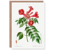 Artery8 Pierre-Joseph Redouté Art Card Trumpet Vine Flowers