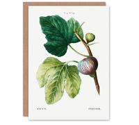 Artery8 Pierre-Joseph Redouté Art Card Vintage Botanical Ficus Carica Fig