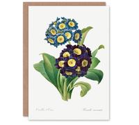Artery8 Pierre-Joseph Redouté Art Card Vintage Floral Primula Auricula in White Artery8 White