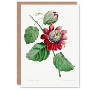 Artery8 Pierre-Joseph Redouté Art Card Vintage Passion Flower Illustration