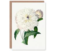 Artery8 Pierre-Joseph Redouté Art Card Vintage Peony Flower Illustration
