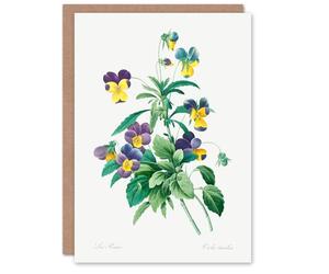 Artery8 Pierre-Joseph Redouté Art Card Vintage Wild Pansy Flower Illustration