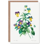 Artery8 Pierre-Joseph Redouté Art Card Vintage Wild Pansy Flower Illustration