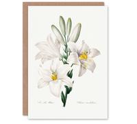 Artery8 Pierre-Joseph Redouté Art Card White Lily Vintage Botanical Illustration