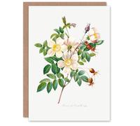 Artery8 Pierre-Joseph Redouté Art Card White Rose Vintage Floral