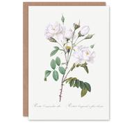Artery8 Pierre-Joseph Redouté Art Card White Rose Vintage Floral Illustration