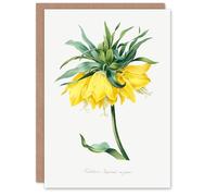Artery8 Pierre-Joseph Redouté Art Card Yellow Crown Imperial Flower