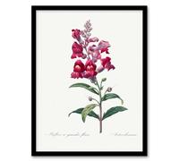 Artery8 Pierre Joseph Redoute Framed Wall Art Antirrhinum Dragon Flowers in White | Size: A4 Artery8 White A4
