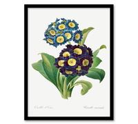 Artery8 Pierre Joseph Redoute Framed Wall Art Vintage Floral Primula Auricula in White | Size: A3 Artery8 White A3