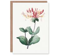 Artery8 Pierre-Joseph Redouté Personalised Art Card Honeysuckle Vintage Botanical Illustration