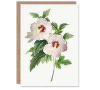 Artery8 Pierre-Joseph Redouté Personalised Art Card Vintage Hibiscus Flower Illustration