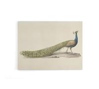 Artery8 Pieter Pietersz Barbiers Blue Peacock Canvas Wall Art Print in Beige | Size: W18" x H24" Artery8 Beige W18" x H24"