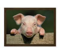 Pig Piglet Cute Farm Pink Baby Babe A4 Artwork Framed Wall Art Print Artery8 Brown One Size