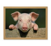 Pig Piglet Cute Farm Pink Baby Babe A4 Artwork Framed Wall Art Print Artery8 Light Oak One Size