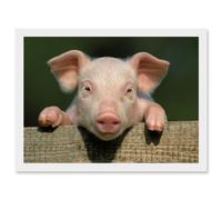 Pig Piglet Cute Farm Pink Baby Babe A4 Artwork Framed Wall Art Print Artery8 White One Size