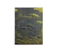 Artery8 Pike & Perch Aquarium Canvas Wall Art Print Gerrit Dijsselhof in Green | Size: W18" x H24" Artery8 Green W18" x H24"