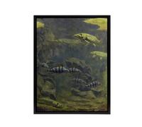 Artery8 Pike & Perch Aquarium Framed Canvas Wall Art Print Gerrit Dijsselhof in Green | Size: W24" x H32" Artery8 Green W24" x H32"