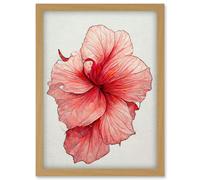 Artery8 Pink Hibiscus Flower Illustration Floral Pink Artwork Framed Wall Art Print A4 in Light Oak Artery8 Light Oak
