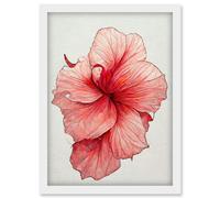 Artery8 Pink Hibiscus Flower Illustration Floral Pink Artwork Framed Wall Art Print A4 in White Artery8 White