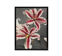 Artery8 Pink Spotted Lily Flower Blooms Framed Canvas Wall Art Print Kazumasa | Size: W24" x H32" Artery8 Pink W24" x H32"
