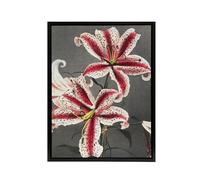 Artery8 Pink Spotted Lily Flower Blooms Framed Canvas Wall Art Print Vintage : Artwork by Kazumasa 24x32 Romantic bloom Picture full of vitality, perfect for bright kitchens or feminine living rooms