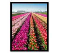 Artery8 Pink Tulip Fields Holland Artwork Summer Floral Framed Art Print | Size: A4 Artery8 Multicolor A4