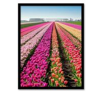 Artery8 Pink Tulip Fields Holland Artwork Summer Floral Living Room Artwork Framed Wall Art Print A4