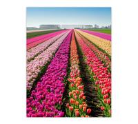 Artery8 Pink Tulip Fields Holland Artwork Summer Floral Wall Art Print | Size: W12" x H16" Artery8 Multicolor W12" x H16"