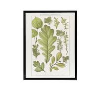 Artery8 Plant Lover Leaves Brockhaus Lexikon Black Framed Canvas Wall Art in White | Size: W12" x H16" Artery8 White W12" x H16"