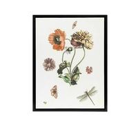Artery8 Poppies Butterflies & Dragonfly Teyler Black Framed Canvas Wall Art in White | Size: W12" x H16" Artery8 White W12" x H16"