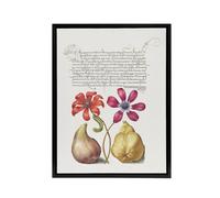 Artery8 Poppy Anemone Fig & Quince Calligraphy Framed Canvas Wall Art Print in White | Size: W18" x H24" Artery8 White W18" x H24"