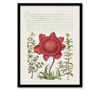 Artery8 Poppy Anemone & Myrtle Calligraphy Framed Wall Art Print in White | Size: A4 Artery8 White A4