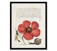Artery8 Poppy Snail & Crane Fly Calligraphy Framed Wall Art Print in White | Size: A4 Artery8 White A4