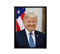Artery8 Portrait Donald Trump US President Framed Canvas Wall Art Print | Size: W12" x H16" Artery8 Multicolor W12" x H16"