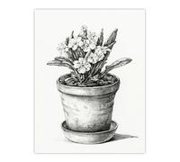 Artery8 Potted Flowering Plant Pencil Drawing Unframed Art Print 12X16 Artwork By Jean Bernard : Floral Pencil Sketch Suited For Bedroom Or Study Highlighting Detail Calm Tone And Botanical Grace
