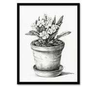 Artery8 Potted Flowering Plant Pencil Drawing Wall Art Print Framed 12X16 Artwork By Jean Bernard : Floral Pencil Sketch Suited For Bedroom Or Study Highlighting Detail Calm Tone And Botanical Grace