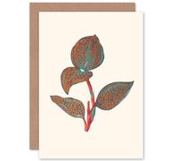 Artery8 Primary Coloured Exotic Flora Greetings Card in Green Artery8 Green