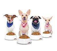 Artery8 Pug Chihuahua Jack Russell Dog Dinner Photo Premium Wall Art Canvas Print 18X24 Inch